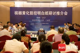 海南省槟榔病虫害重大科技计划项目组发布槟榔黄化防控明白纸图片