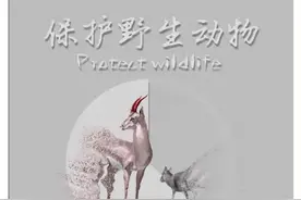 黑龙江“文明健康 有你有我”公益广告征集作品展示（二）图片
