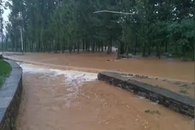 36秒丨洪水黄色预警！强降雨致临沂部分村庄积水严重道路被淹视频封面