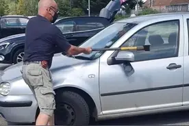 36度高温下狗狗被关车内 男子砸碎车窗将其救出图片