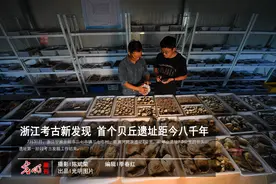 浙江考古新发现 首个贝丘遗址距今八千年图片