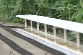 菜地里建“高铁”大学生迷你版模型走红图片