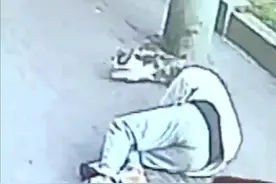 “高空坠猫砸晕老人”事件双方针对15万索赔意见不一 律师：具体赔偿金额需鉴定图片