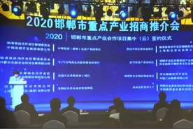 河北临漳4大项目云签约图片