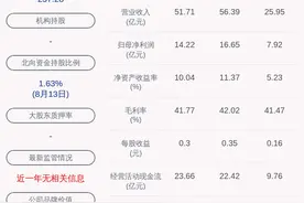 成绩单！重庆水务：2020年半年度净利润约7.92亿元，同比下降6.06%图片