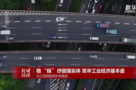 稳“链”纾困强实体 筑牢工业经济基本盘——访工信部副部长辛国斌视频封面