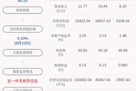 西藏城投：2020年半年度净利润约5108万元，同比增加0.52%图片