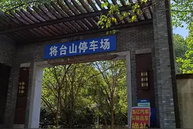 杭州惊现“豪车坟场”？500万宾利废弃长草图片