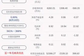 鲁银投资：2020年上半年净利润约5311万元图片