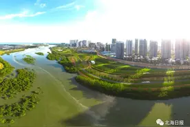 傲娇！北海银滩和红树林亮相人民日报《新千里江山图》！图片