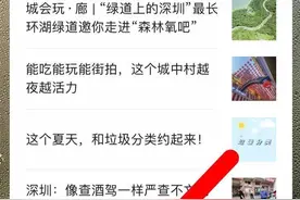 深圳犬只芯片注射预约功能上线，点击“美丽深圳”公众号一键预约图片