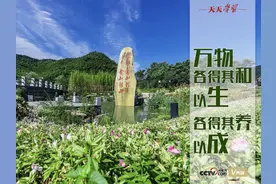 天天学习｜万物各得其和以生 各得其养以成图片