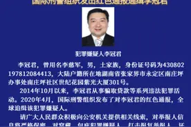 悬赏10万！国际刑警组织发出红色通报，全球通缉这个湖南人图片