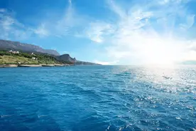 夜读｜巴金：大海教会我们的图片