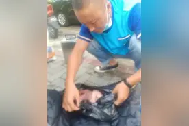 揪心丨宁夏一个婴儿被放垃圾桶，被发现时头上有血渍图片