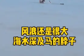“救命恩马”第三匹也开始生病！救人者独家讲述：为何选择骑马下海？图片