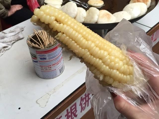 我家开的界，所以张家界（一人7日自由行含详细路线：张家界凤凰长沙）