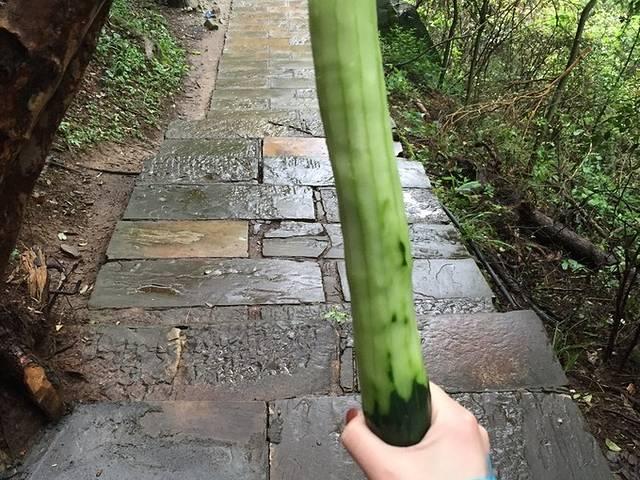 我家开的界，所以张家界（一人7日自由行含详细路线：张家界凤凰长沙）