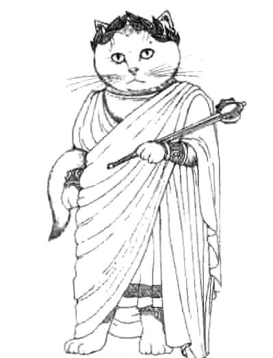 猫眼看人 人类调查报告(1)