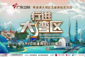 “双城生活”是多么奇妙的事！湾区追梦人讲述筑梦故事图片