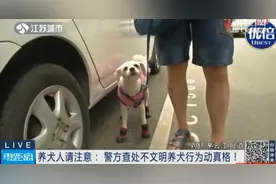 警方动真格！遛狗不拴绳，罚图片