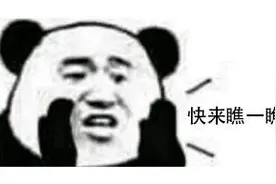 微信又有重磅更新！团团今天也正式上“新”！图片