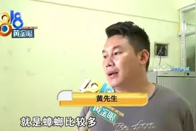 租房蟑螂太多，还往身上爬，房东：这么点事，下点药好了图片