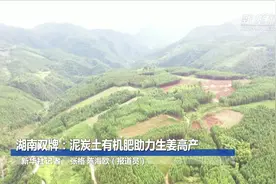 湖南双牌：泥炭土有机肥助力生姜高产