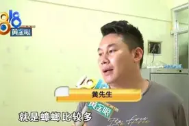 租房蟑螂太多，还往身上爬，房东：这么点事，下点药好了图片