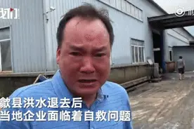 安徽歙县3000吨茶叶被泡老板痛哭后续，茶农如期领到茶款图片