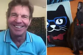 好莱坞演员丹尼斯·奎德收养与其同名的流浪猫图片