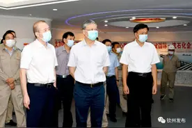 中国石油天然气集团总经理李凡荣到钦调研图片