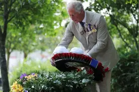 ​英国举行仪式纪念第二次世界大战对日战争胜利纪念日75周年图片