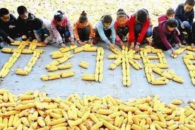 不打包就是浪费粮食？餐后打包你觉得这是丢脸的行为么图片