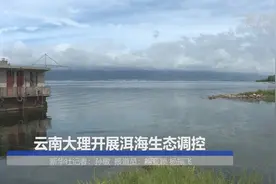 云南大理开展洱海生态调控视频封面