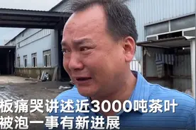 歙县茶企3000吨茶叶被泡后续：已凑得部分资金，如期支付茶农图片