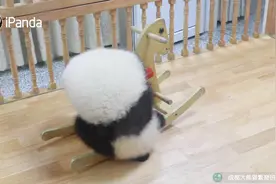考驾照到底有多难？滚滚告诉你视频封面