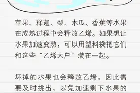 这份「水果冰箱存放指南」请收好图片