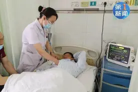 警惕致命胡蜂图片