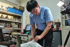 曹操高陵出土文物已修复近千件 标志身份随葬品将集中亮相图片