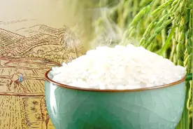 为什么从小妈妈就教我们“吃干净，别浪费”