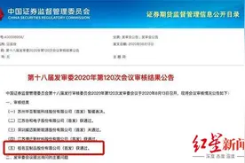 从“臭豆腐第一股”到“豆制品第一股”，祖名股份卖豆腐年入10亿图片