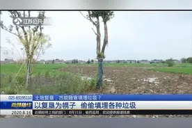 丹阳：以复垦为幌子偷偷填埋垃圾，村民举报后镇政府回应已办妥视频封面