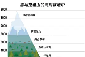 葡萄糖和红景天，防不住高原反应！真正有效的是这6种药图片