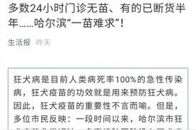 市民吐槽：找疫苗找到崩溃！哈尔滨宠物犬达10万+，现今正处猫狗伤人高发季节……图片