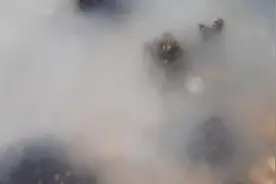 荷兰网友拍到牡蛎群繁殖盛况：海水被染成白色图片