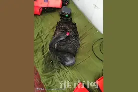 你从哪里来？我的朋友图片