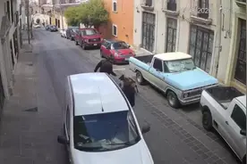 忠犬护主！墨西哥一条警犬为保护警察扑向持刀歹徒图片