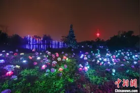 “万物共生”户外体验展将于8月20日启幕 预计持续到12月图片