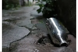 上海相册｜⑤鱼刺图片